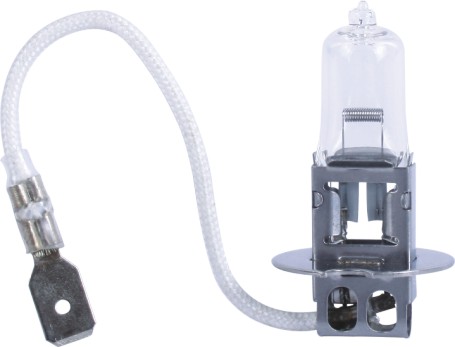 H3 12V55W PK22s